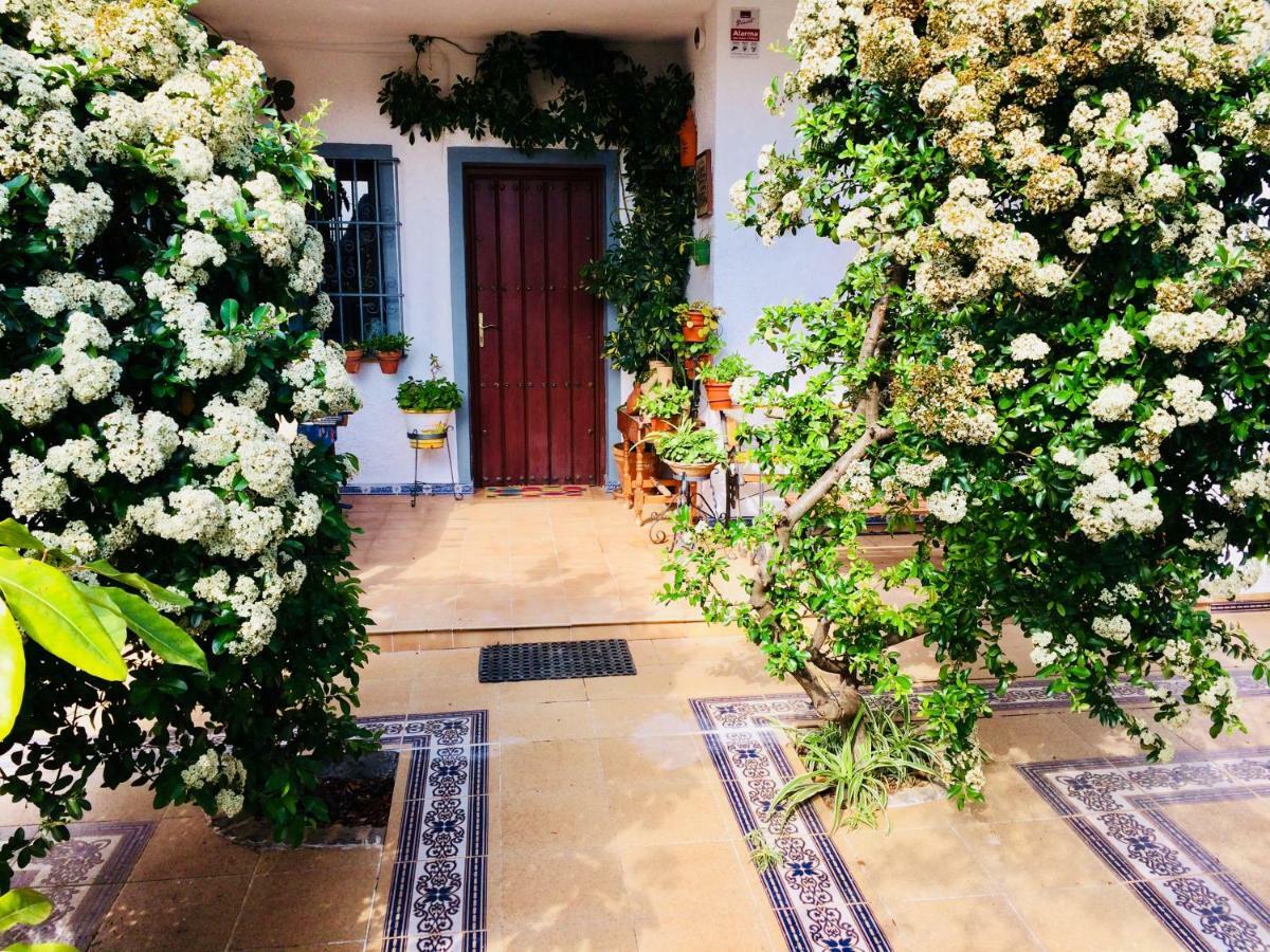 Villa Ferrer Sevilla Хинес Экстерьер фото